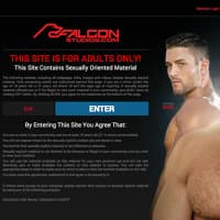 falconstudios.com