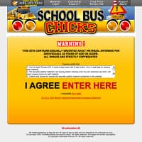 schoolbuschicks.com